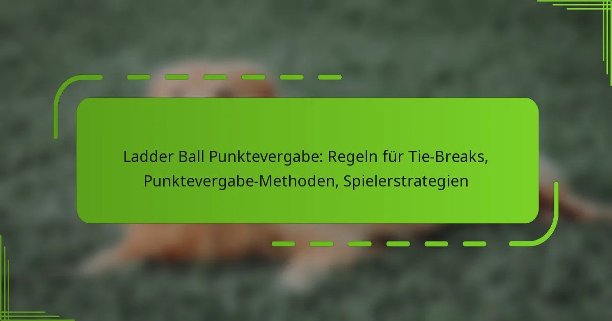 Ladder Ball Punktevergabe: Regeln für Tie-Breaks, Punktevergabe-Methoden, Spielerstrategien