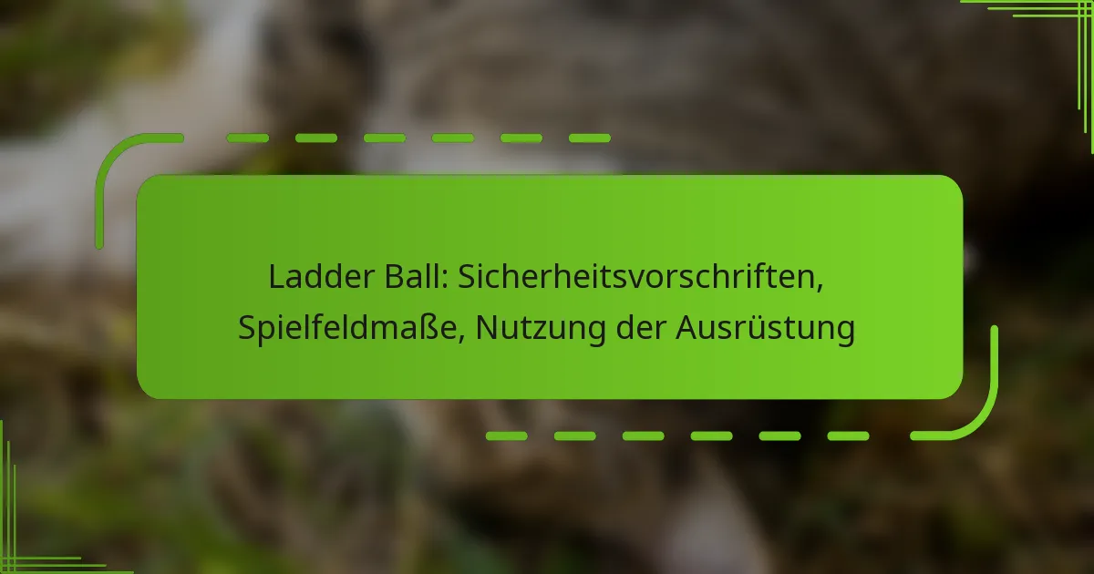 Ladder Ball: Sicherheitsvorschriften, Spielfeldmaße, Nutzung der Ausrüstung