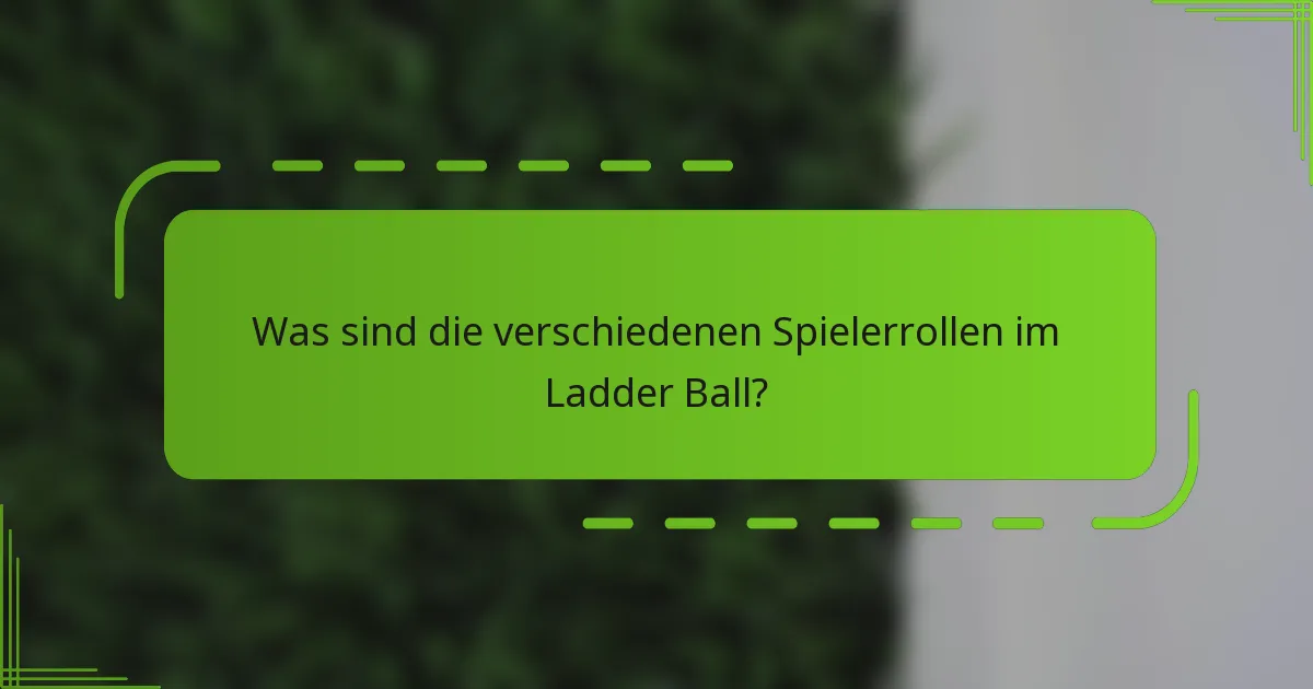 Was sind die verschiedenen Spielerrollen im Ladder Ball?