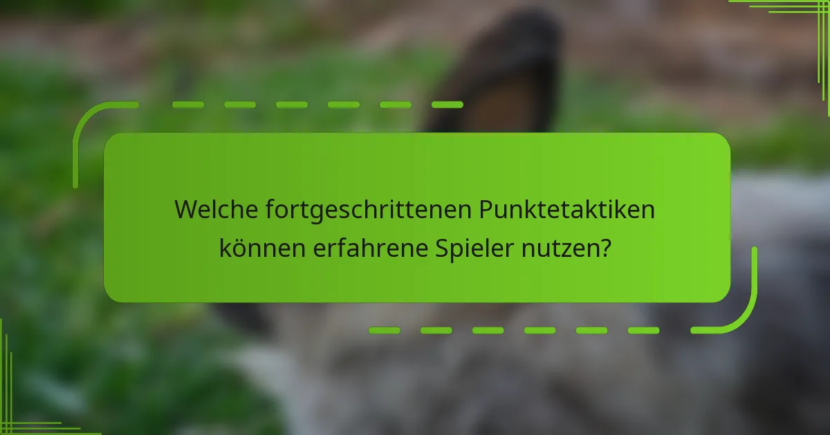 Welche fortgeschrittenen Punktetaktiken können erfahrene Spieler nutzen?