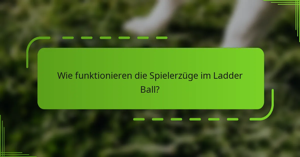 Wie funktionieren die Spielerzüge im Ladder Ball?