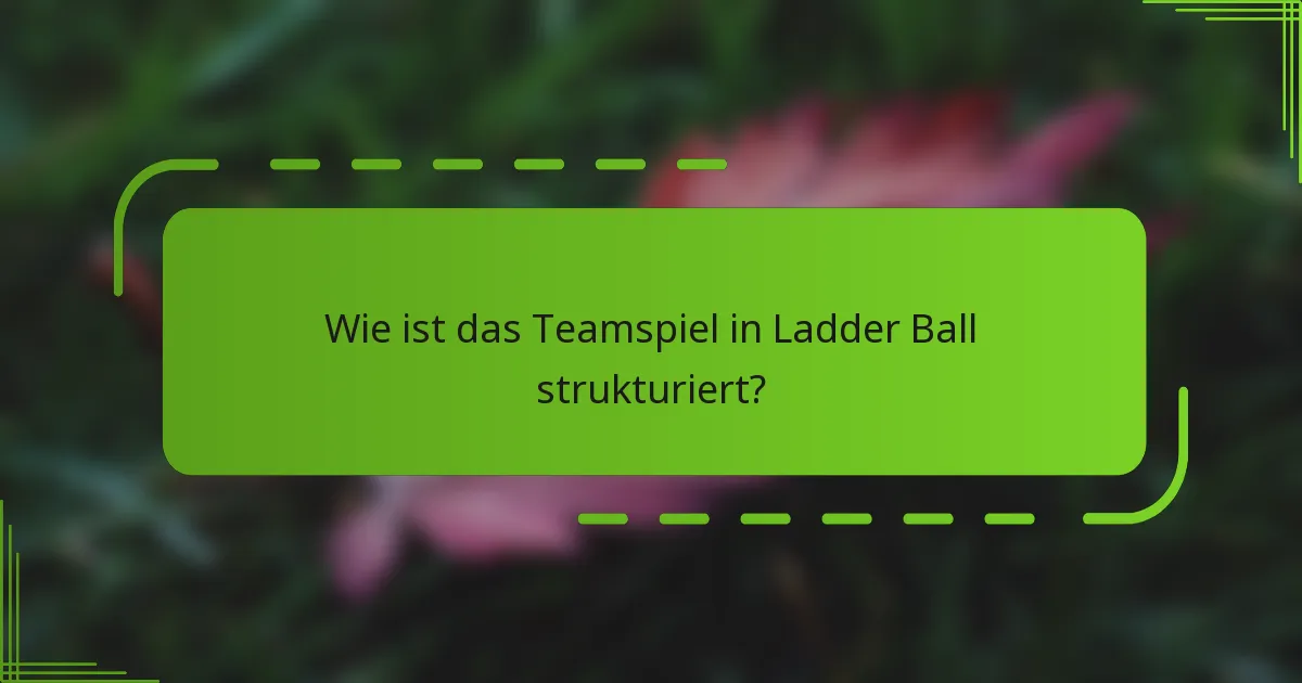 Wie ist das Teamspiel in Ladder Ball strukturiert?