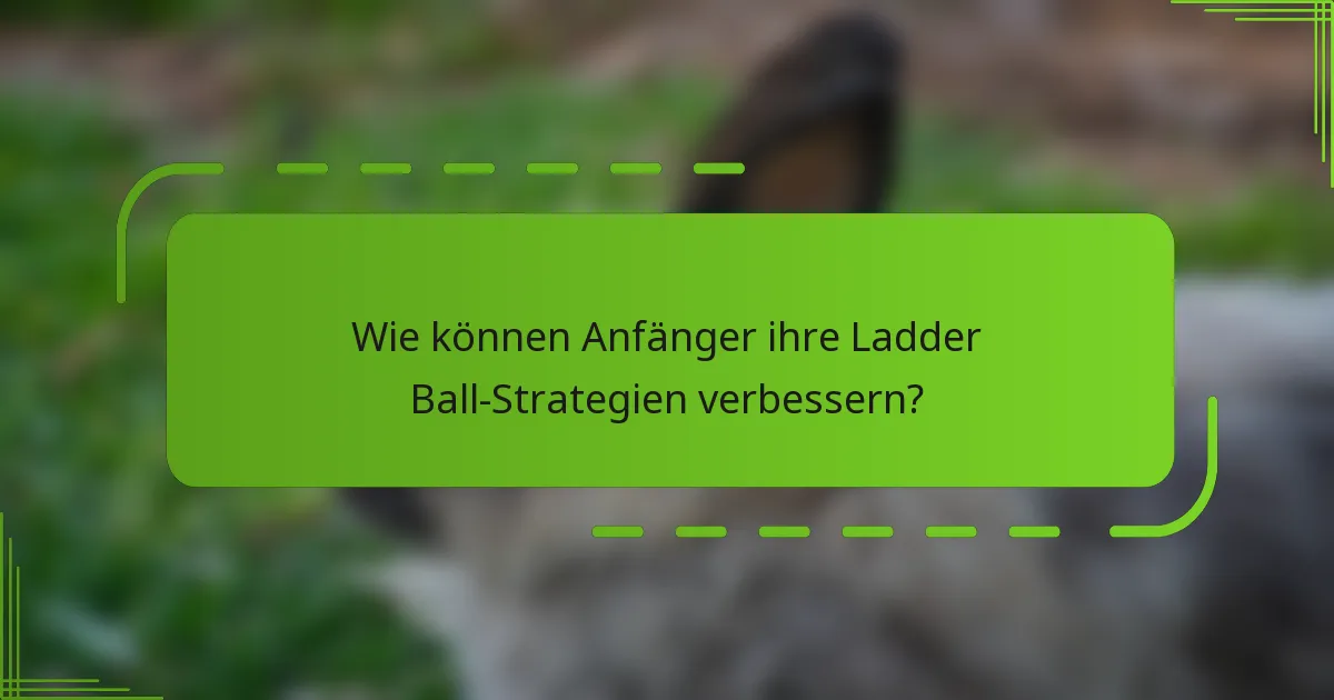 Wie können Anfänger ihre Ladder Ball-Strategien verbessern?