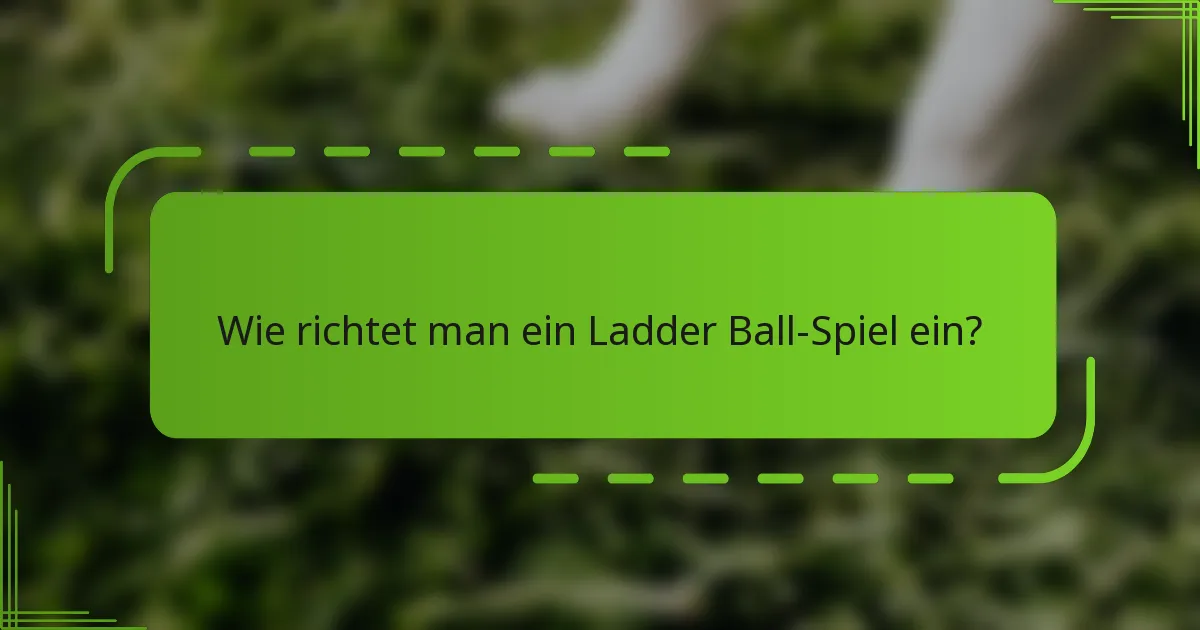 Wie richtet man ein Ladder Ball-Spiel ein?