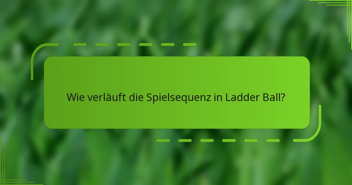 Wie verläuft die Spielsequenz in Ladder Ball?